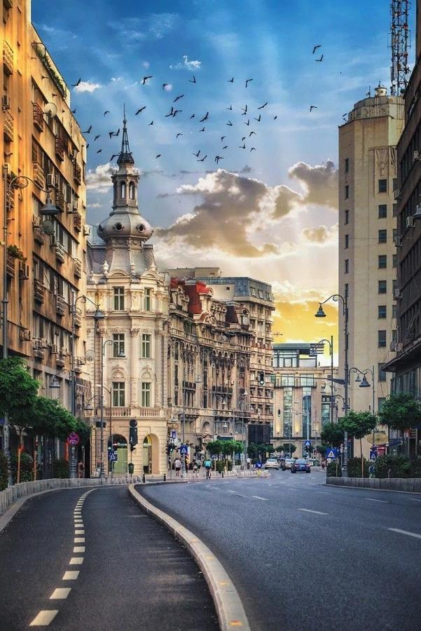 Imob Bibi House Universitate Бухарест Экстерьер фото